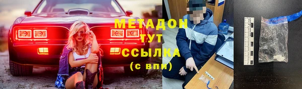 стаф Аркадак