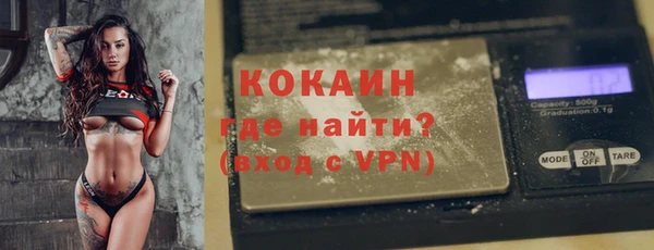 стаф Аркадак