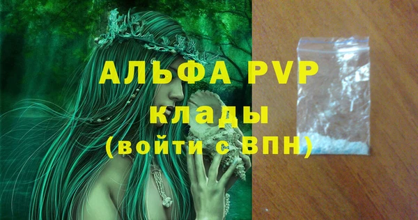 стаф Аркадак