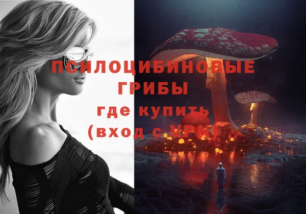 стаф Аркадак