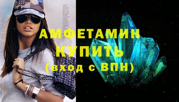 стаф Аркадак