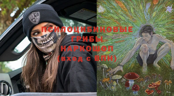 стаф Аркадак