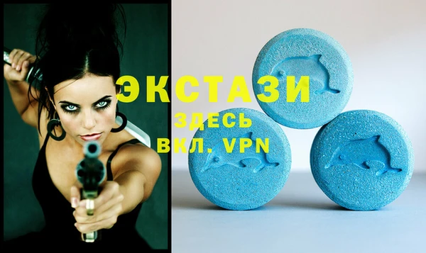стаф Аркадак