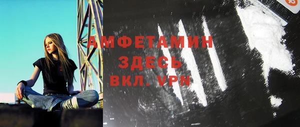 стаф Аркадак