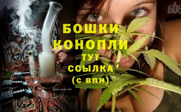 стаф Аркадак